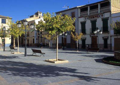 Beneixama in images