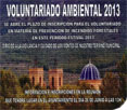 Voluntariado Ambiental 2013
