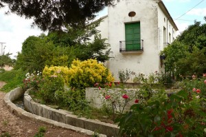 El molino Alto y la acequia del riego