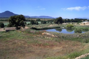 La balsa vieja del riego