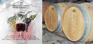 Bodegas