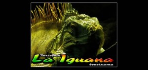 Pub LA IGUANA