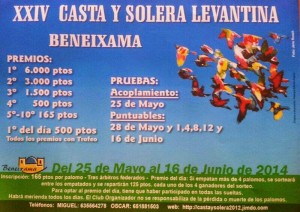 Cartel prueba Casta y Solera 2014