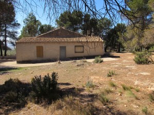 Imagen paraje de "La Talaeta"