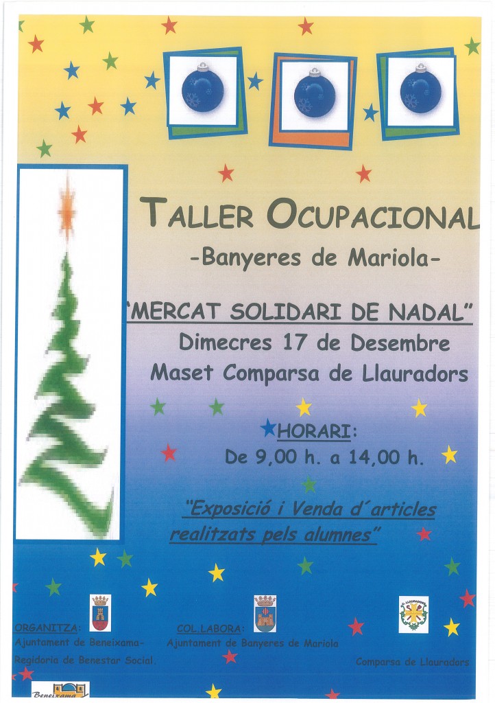 Cartel Mercat Solidari Nadal