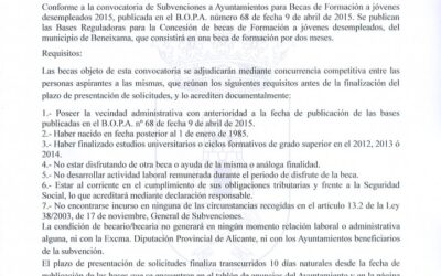 Bases reguladoras Beca de Formación en Beneixama