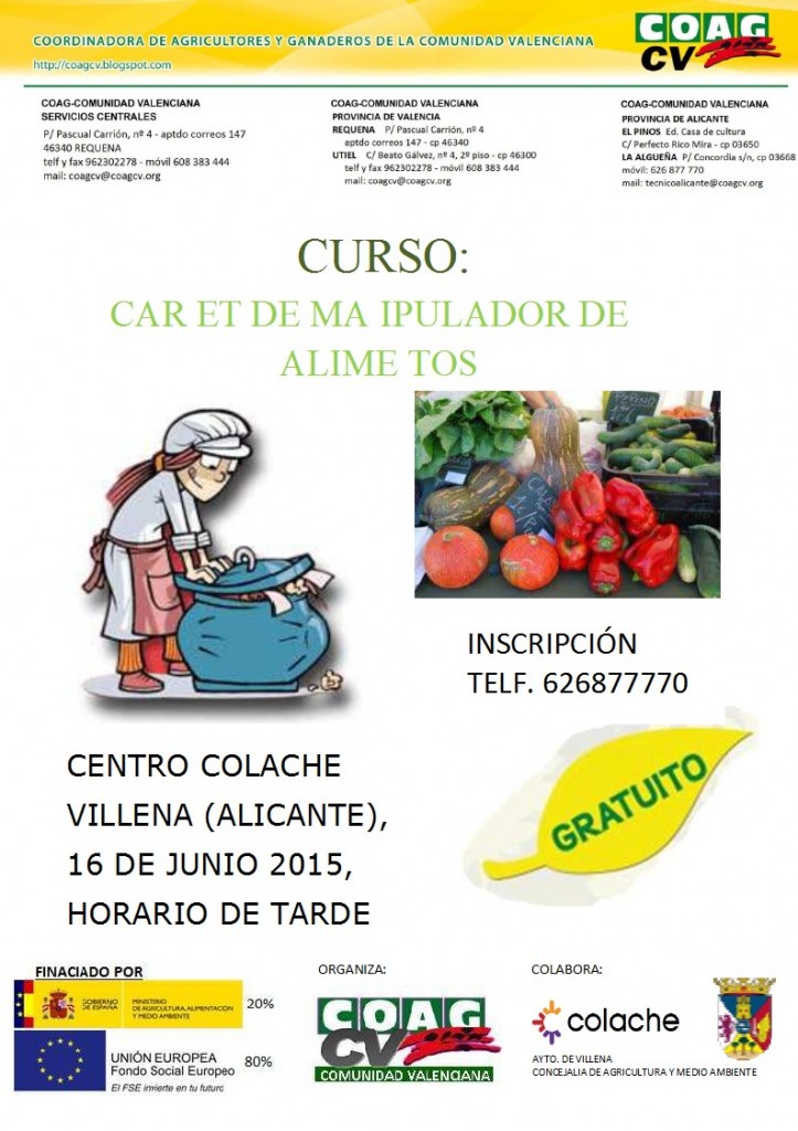 CARTEL CURSO MANIP ALIMENTOS VILLENA Copy
