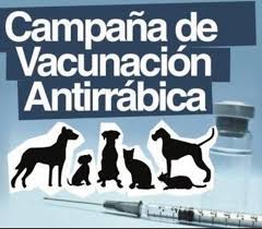 Campanya de Vacunació Antirràbica