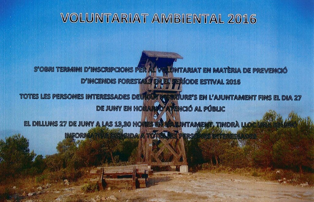 cartell voluntariat-2016-r