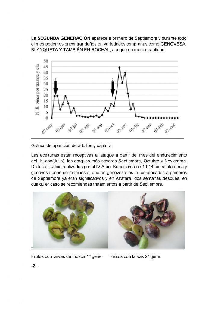 pagina-2-article-mosca