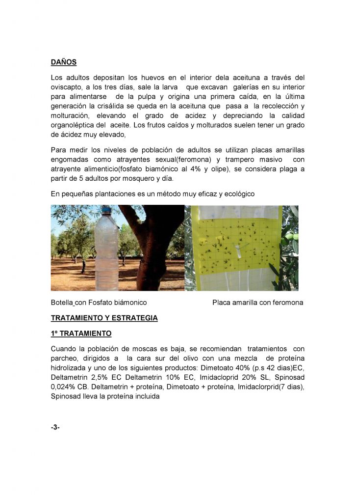 pagina-3-article-mosca