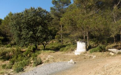 Refugio Municipal de “Rita”