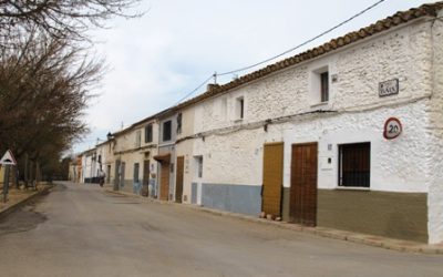 The Willow district