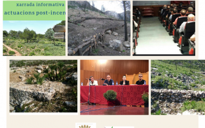 Charla post incendio