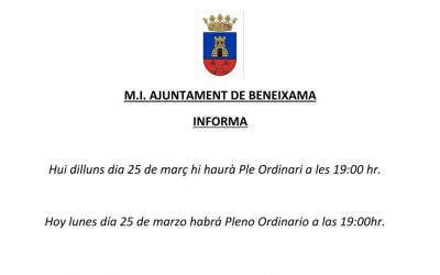 PLENO ORDINARIO